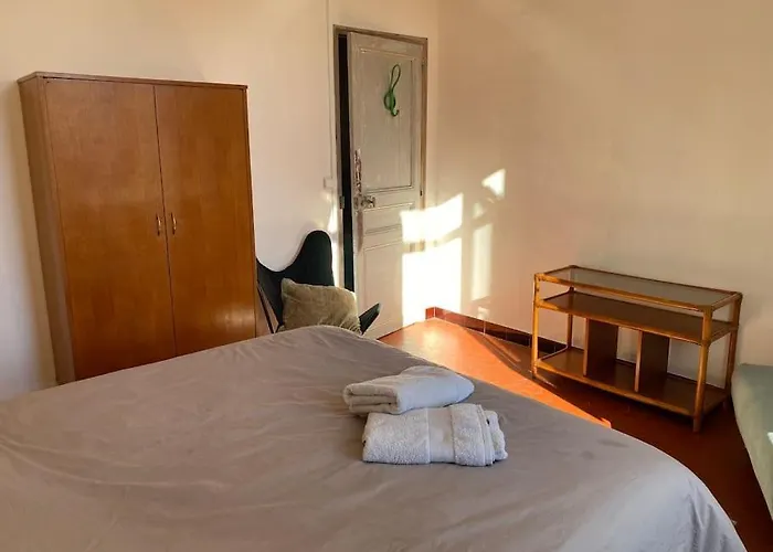 T3 Renove Dans Une Maison De Ville